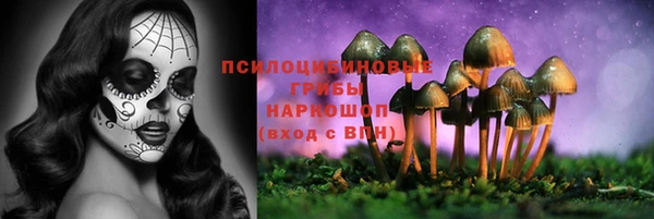 шишки Верхнеуральск