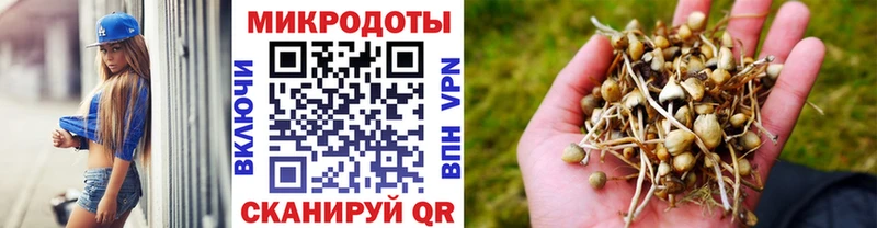 Галлюциногенные грибы Psilocybe  Купить  Пласт 