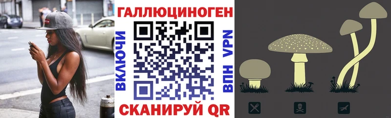 Галлюциногенные грибы прущие грибы Пласт