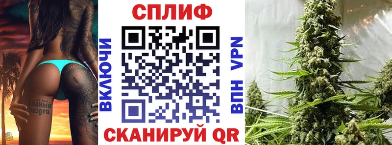 Купить закладки  Пласт  Канабис сатива 